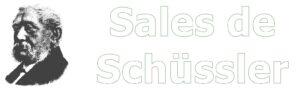 Curso Online de Sales de Schüssler